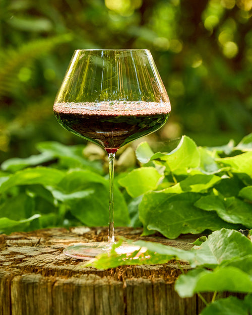 A stemmed Zalto Balance wine glass filled with red wine sits on a rustic wooden stump surrounded by green leaves and foliage in an outdoor garden setting.